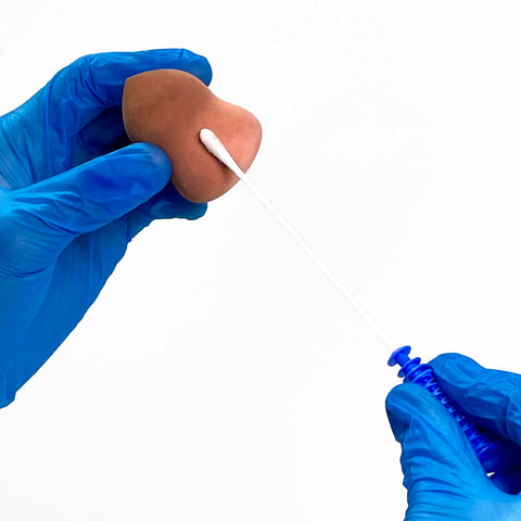 Dirty makeup sponge with bacteria